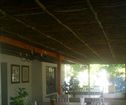 Lily Guest House, Bayswater Accommodation