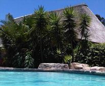  - Pine Tree Lodge Self Catering Accommodation