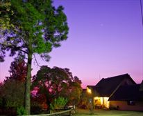  - Pine Tree Lodge Self Catering Accommodation