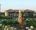 Petal place Luxury Self Catering Cottages, Groenvlei Accommodation