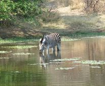  - Thaba Khaya Lodge
