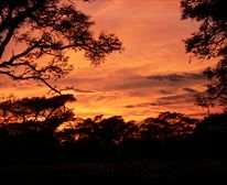 Sunrise on Bee Tree Farm 1st May 2010 - Bee Tree Cottage