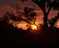 Sunset on Bee Tree Farm - Bee Tree Cottage
