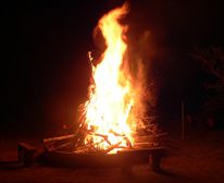 Bonfire Safari Boma - Bee Tree Cottage