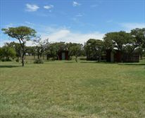 Safari Bush Cabins and Boma - Bee Tree Cottage