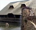 KwaNdaba Lodge , Dinokeng Accommodation