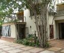 Fern Ivy Guesthouse, Eastwood Accommodation