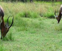  - Maritime Bushveld Estate