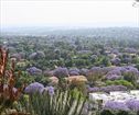 Cape 2 Cairo, Houghton Accommodation