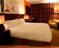  - Thaba Ya Batswana Eco Lodge and Spa