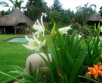 Garden. - Eden Guest Lodge