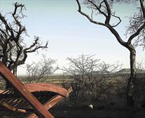  - Buffalo Ridge
