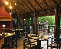 Picture 8/10 - Madikwe River Lodge