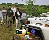 Picture 9/10 - Madikwe River Lodge