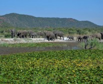 Picture 10/10 - Tau Game Lodge