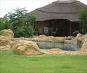 Blue Roan Guest Farm, Magaliesberg Accommodation