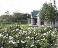  - The Paddocks