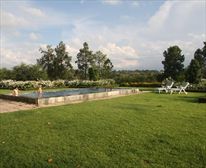  - The Paddocks