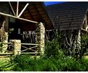 The Hakunamatata Estate, Muldersdrift Accommodation