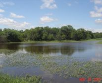 On-site fishing - Gnu Ranch