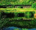 Bakubung Bush Lodge, Pilanesberg Accommodation