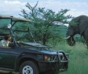 Tshukudu Bush Lodge, Pilanesberg Accommodation