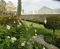  - The Grace in Rosebank