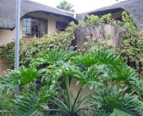 Picture 6/7 - Lala Kamnandi Guest House
