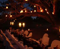  - Kwafubesi Tented Safari Camp