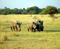  - Kwafubesi Tented Safari Camp