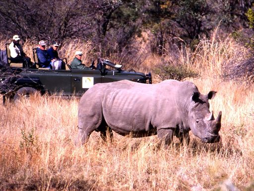 Mabula Lodge