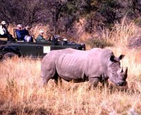  - Mabula Game Lodge