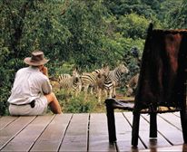  - Makweti Safari Lodge