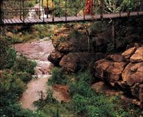  - Makweti Safari Lodge