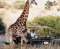  - Makweti Safari Lodge