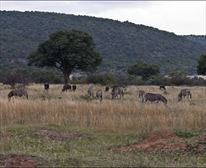  - Clifftop Exclusive Safari Hideaway 